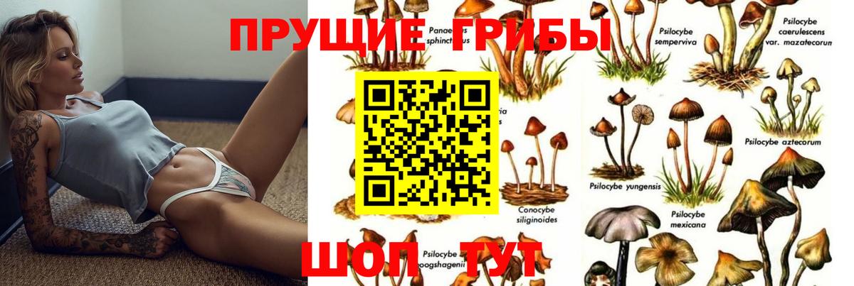 Галлюциногенные грибы Magic Shrooms Славянск-на-Кубани